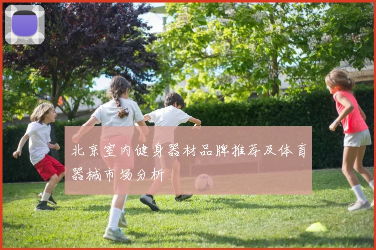 北京室内健身器材品牌推荐及体育器械市场分析