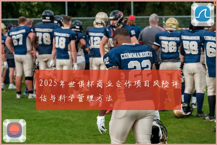 2025年世俱杯商业合作项目风险评估与科学管理方法